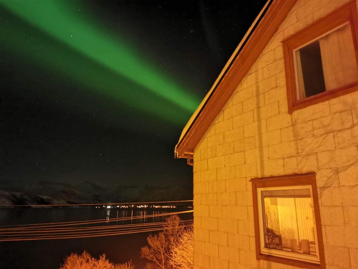 Villa Senja Skaland Melkarhola Exterior foto