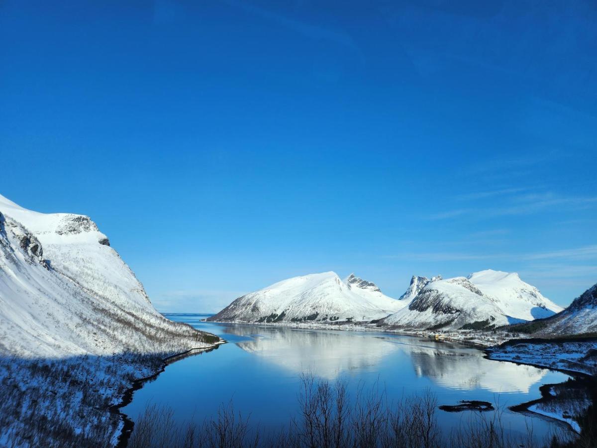 Villa Senja Skaland Melkarhola Exterior foto