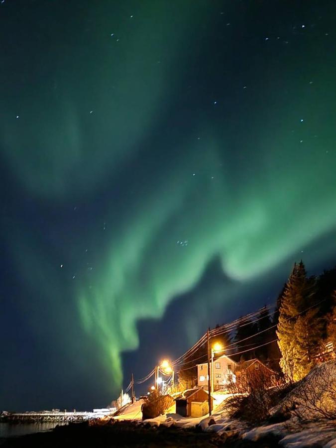Villa Senja Skaland Melkarhola Exterior foto